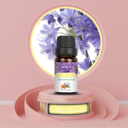 Lily Lavender