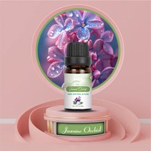 Jasmine Orchid