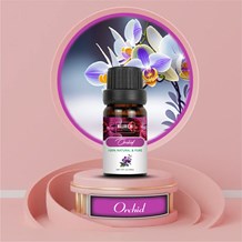 Orchid