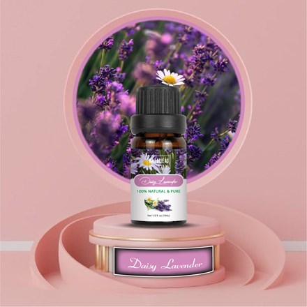Daisy Lavender