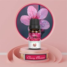 Cherry Blossom