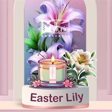 Easter Lily