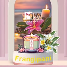 Frangipani