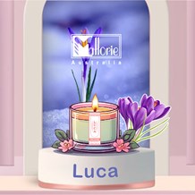 Luca