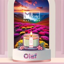 Olaf