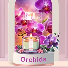 Orchids
